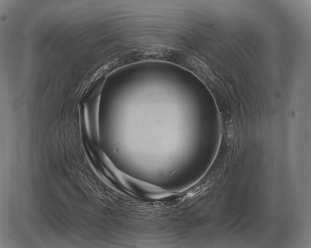 X0000086290916200703301132
