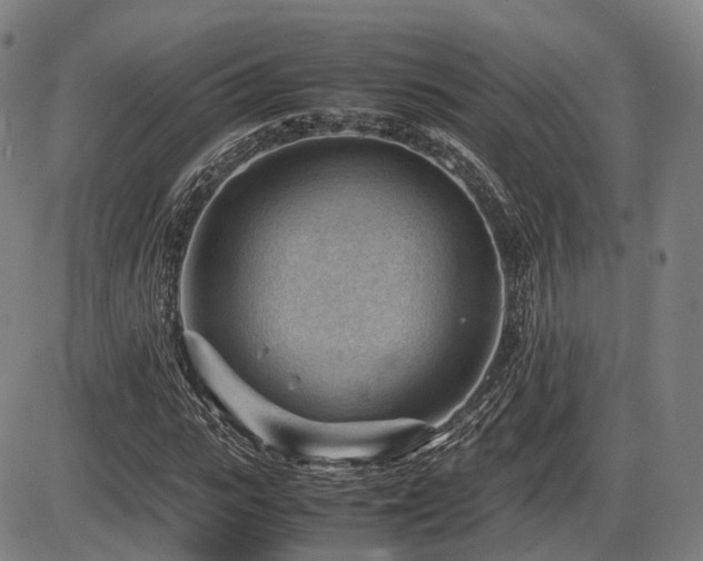 X0000086290919200703301132