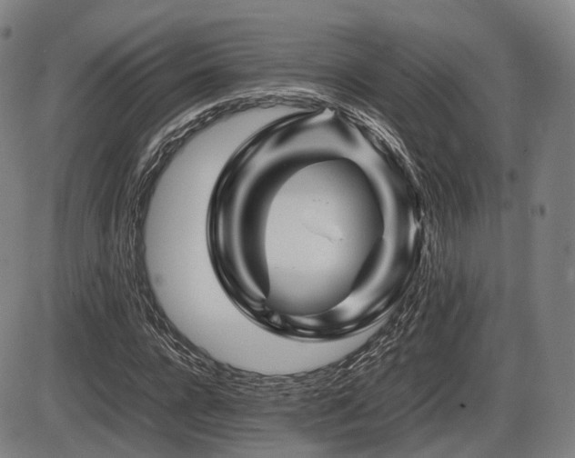 X0000086290920200703301132