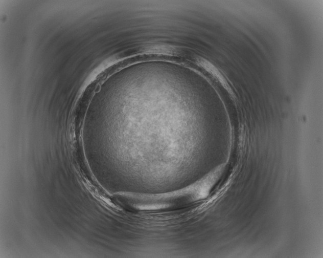 X0000086290923200703301132