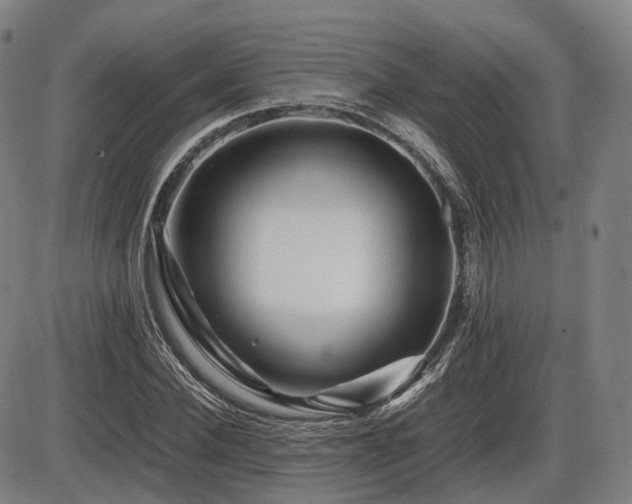 X0000086290924200703301132