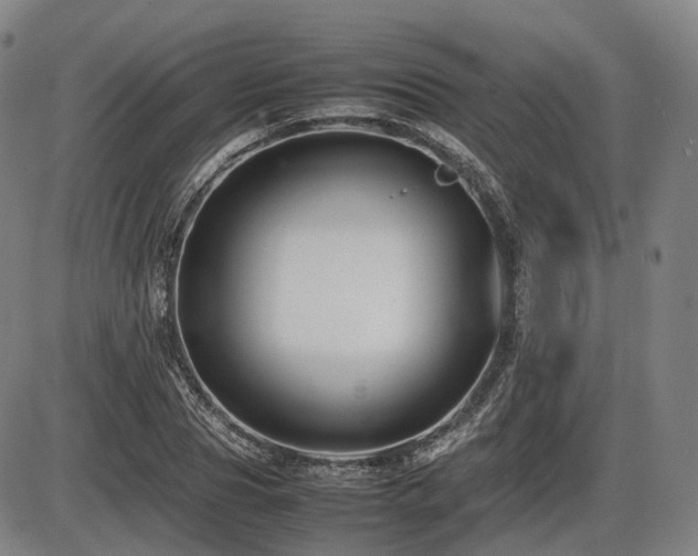X0000086290929200703301132