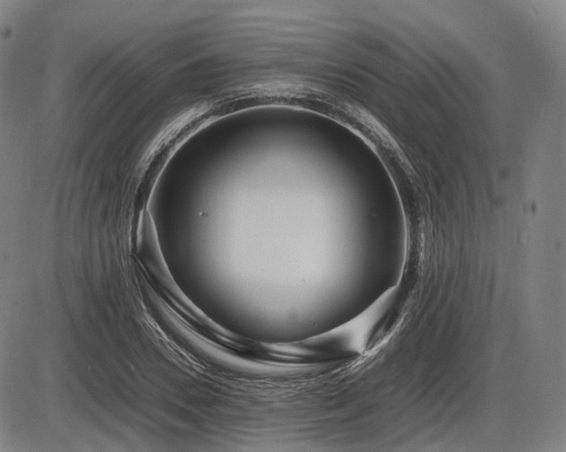X0000086290930200703301132