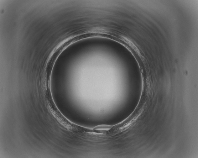X0000086290931200703301132