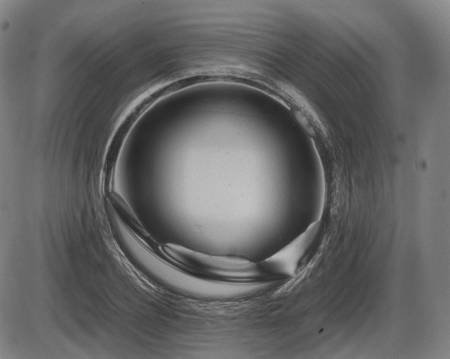 X0000086290932200703301132