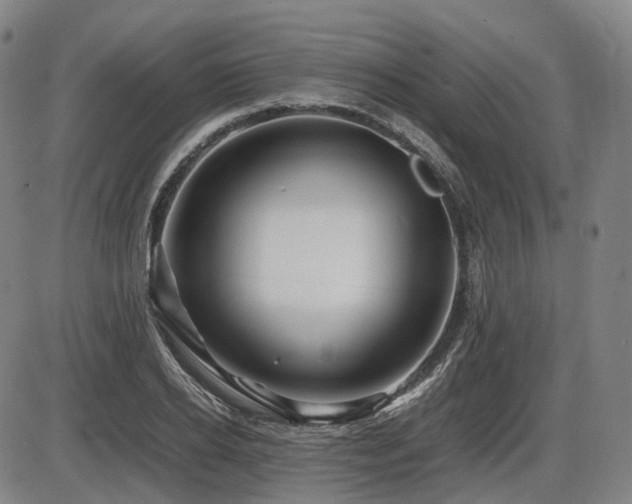 X0000086290934200703301132