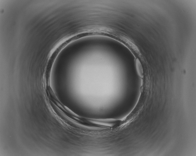X0000086290936200703301132