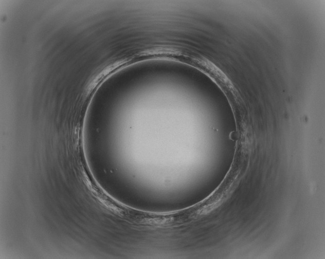 X0000086290937200703301132