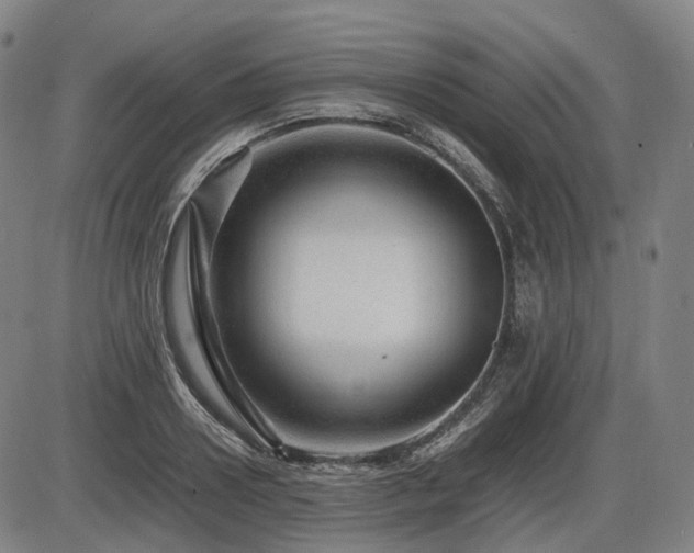 X0000086290938200703301132