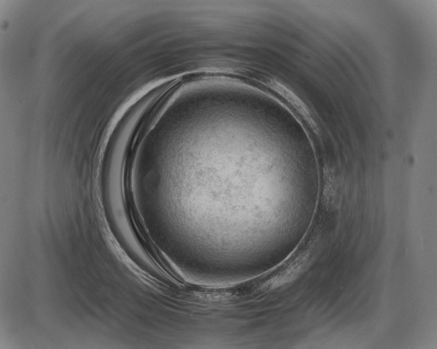 X0000086290939200703301132