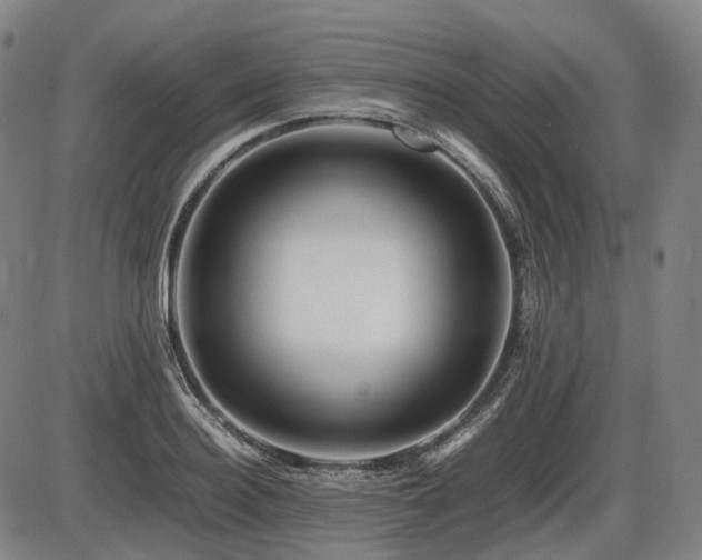 X0000086290940200703301132