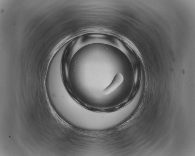 X0000086290946200703301132
