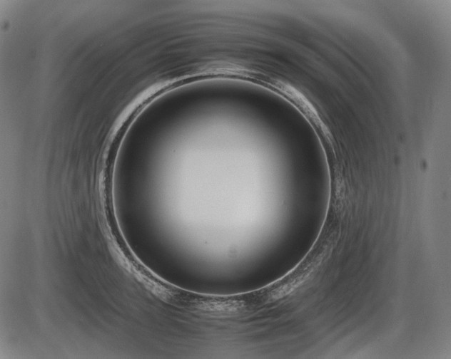 X0000086290947200703301132