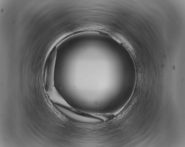 X0000086290948200703301132