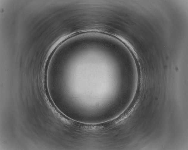 X0000086290949200703301132