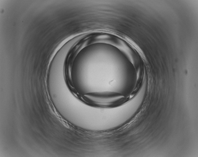 X0000086290956200703301132