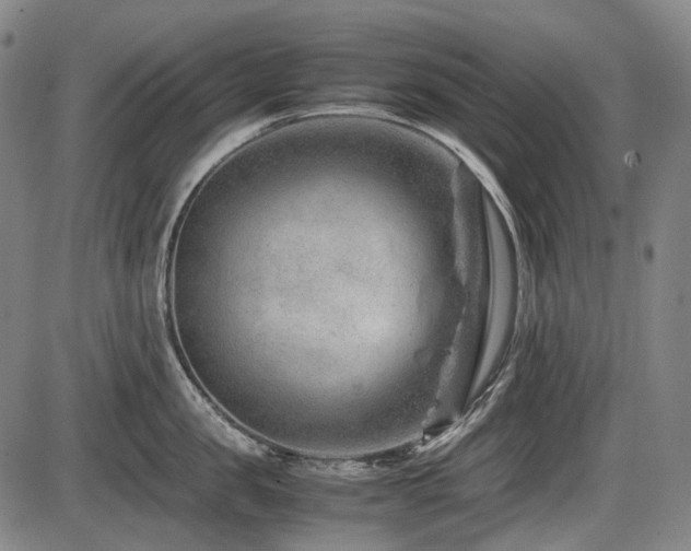 X0000086290957200703301132