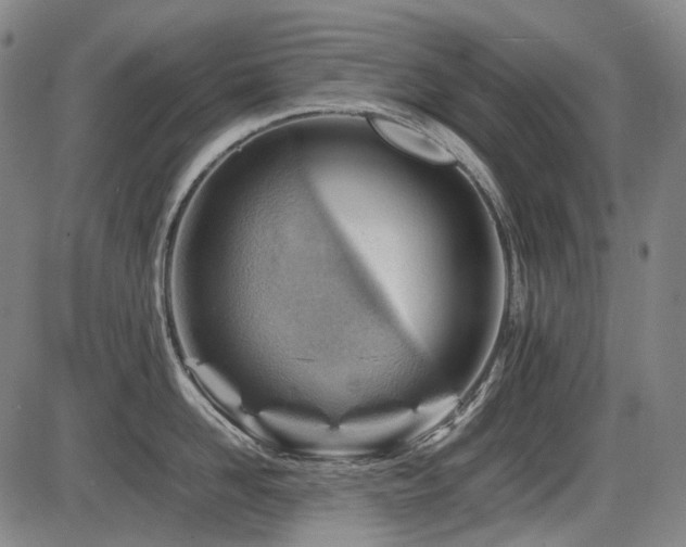 X0000086290958200703301132