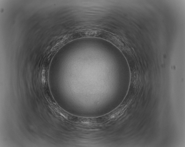 X0000086290962200703301132