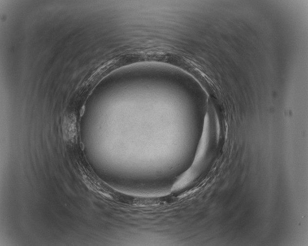 X0000086290963200703301132
