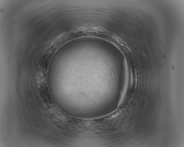X0000086290966200703301132