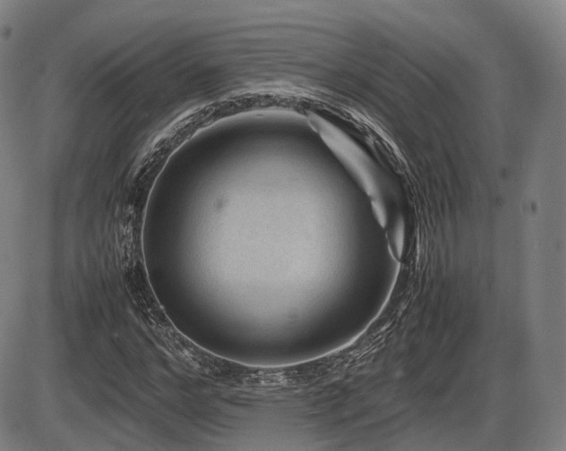 X0000086290968200703301132