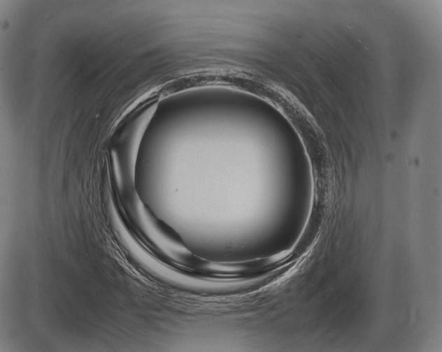 X0000086290969200703301131