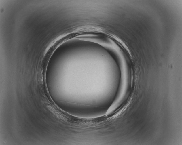 X0000086290973200703301131