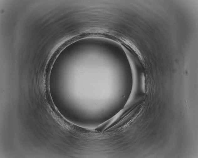 X0000086290976200703301131