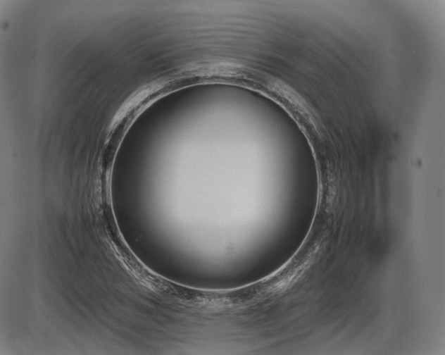 X0000086290978200703301131