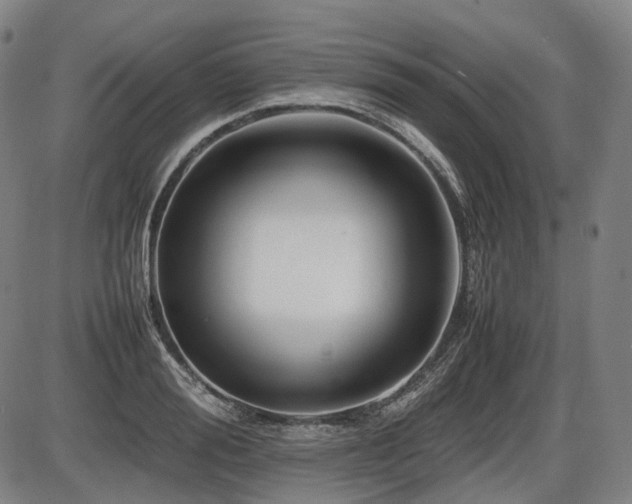 X0000086290988200703301131