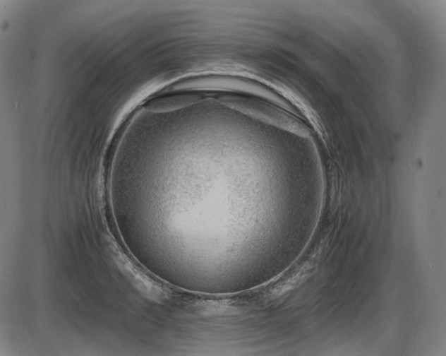 X0000086290990200703301131