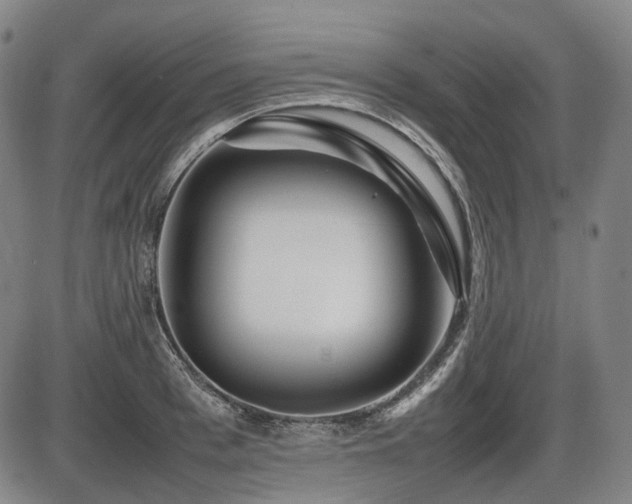 X0000086290993200703301131