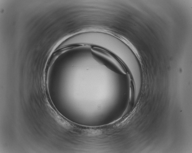 X0000086290996200703301131