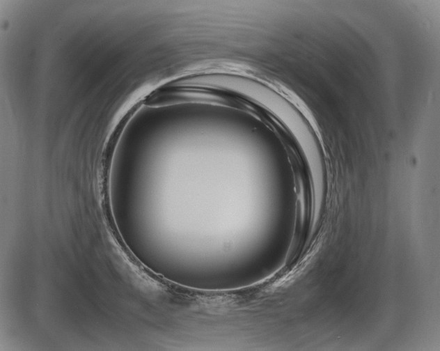 X0000086290997200703301131