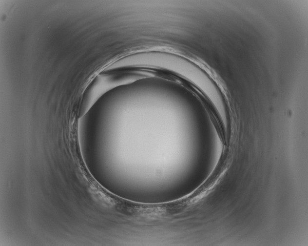 X0000086291001200703301131
