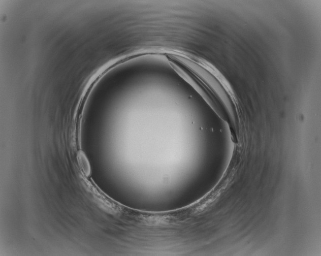 X0000086291004200703301131