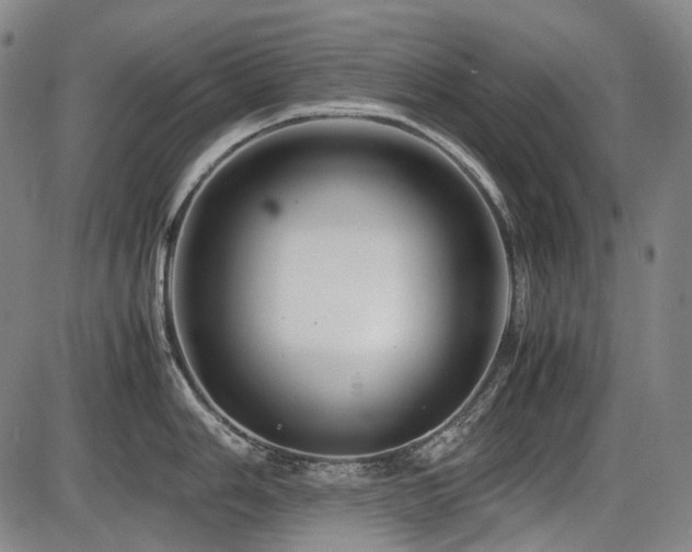 X0000086291006200703301131