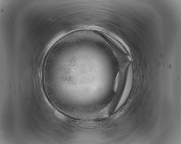 X0000086291007200703301131
