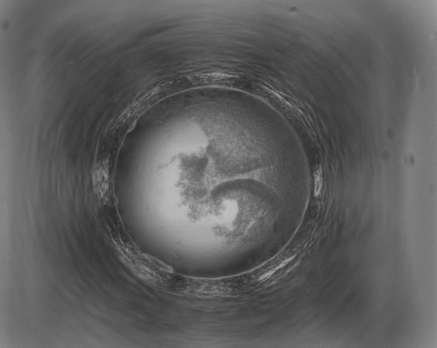 X0000086291011200703301130