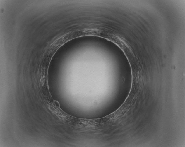 X0000086291015200703301130