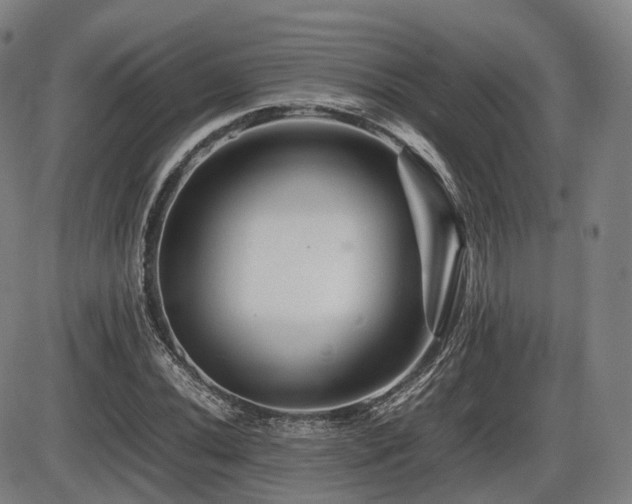 X0000086291020200703301130