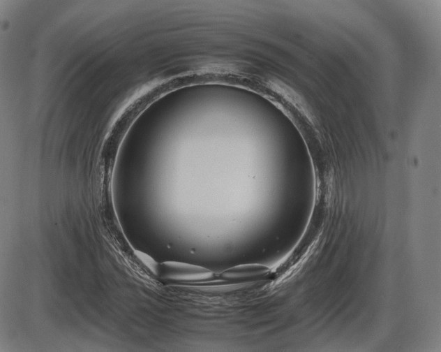 X0000086291021200703301130