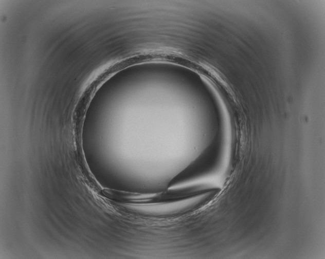 X0000086291022200703301130