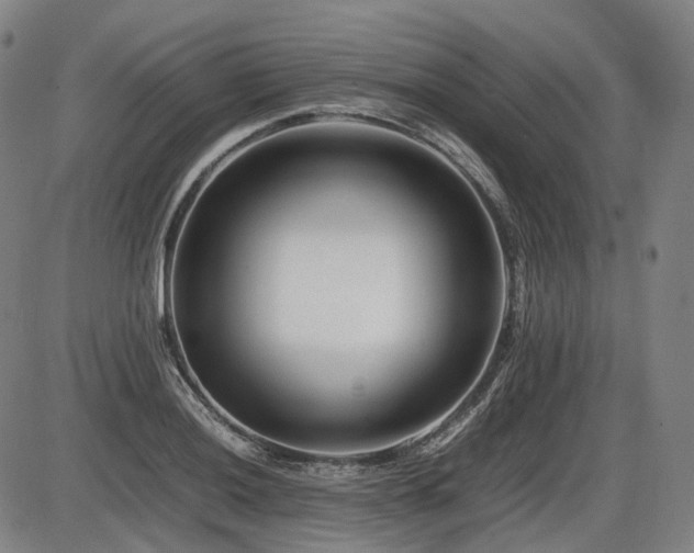 X0000086291036200703301130