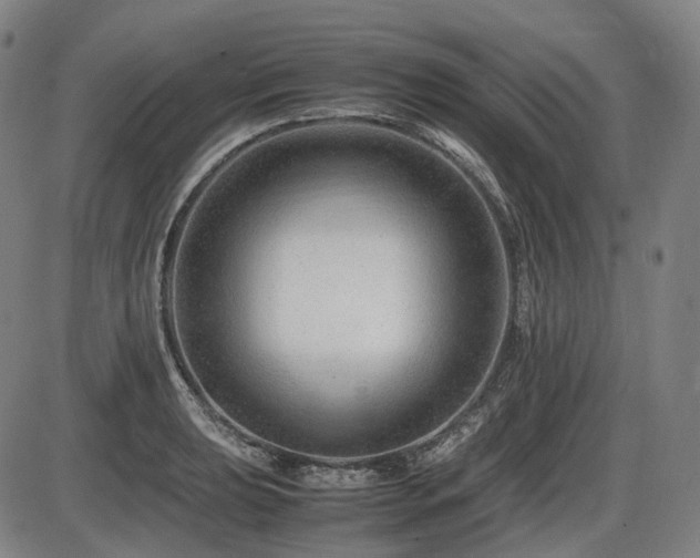 X0000086291039200703301131