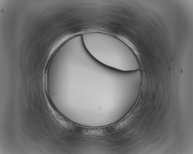 X0000086291047200703301131