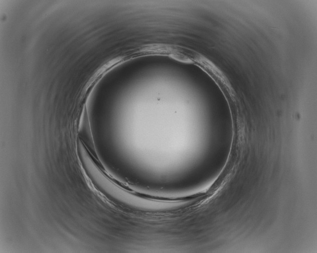 X0000086291049200703301131