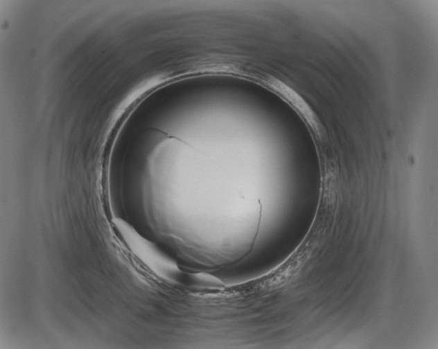 X0000086291051200703301131