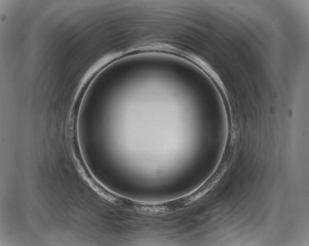 X0000086291053200703301131